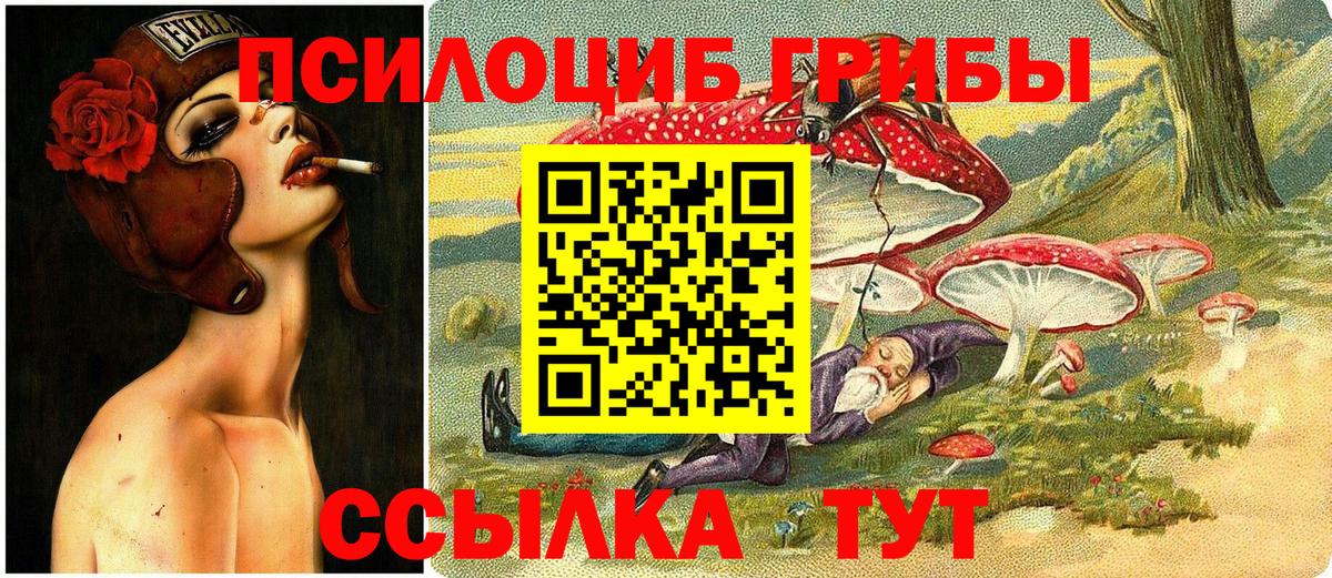 Галлюциногенные грибы мицелий Великий Новгород