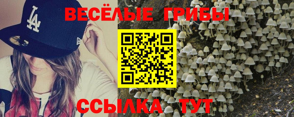 Великий Новгород  Бошки Шишки  Альфа ПВП СК кристаллы  Cocaine  КЕТАМИН  Меф МЯУ МЯУ кристаллы  Вход с VPN  ГАШ 